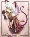  cat_ears cat_o'_nine_tails cat_o_nine_tails cat_tail light_smile mouth_hold original red_eyes rope short_hair solo tail thigh-highs thighhighs ume_(illegal_bible) white_hair zettai_ryouiki 