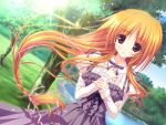  game_cg hoshizora_e_kakaru_hashi long_hair orange_eyes orange_hair toudou_tsumugi tree tsurusaki_takahiro 
