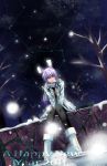  2011 animal_ears black_legwear boots bunny_ears coat contemporary darkers highres long_hair new_year night pantyhose purple_hair red_eyes reisen_udongein_inaba scarf sitting snow solo touhou 