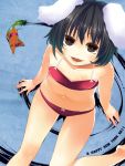  2011 animal_ears bikini black_hair bunny_ears carrot face flat_chest foreshortening from_above happy_new_year highres inaba_tewi miz-capes navel new_year short_hair sitting solo swimsuit touhou 