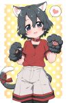  1girl :d animal_ear_fluff animal_ears animal_hands bangs black_hair black_legwear blue_eyes blush border breasts cat_ears cat_tail collar commentary_request eyebrows_visible_through_hair gloves gradient gradient_background grey_shorts hair_between_eyes hands_up head_tilt heart highres kaban_(kemono_friends) kemono_friends kemonomimi_mode looking_at_viewer no_hat no_headwear open_mouth orange_background outside_border pantyhose paw_gloves polka_dot polka_dot_background ransusan red_collar red_ribbon red_shirt ribbon shirt short_hair short_sleeves shorts simple_background small_breasts smile solo spoken_heart tail tail_ornament tail_ribbon white_border 