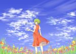  clouds flower_field from_behind green_hair hair_over_eyes highres kazami_yuuka long_skirt looking_back pathos9 plaid plaid_skirt plaid_vest short_sleeves sideways_mouth skirt skirt_set sky smile solo standing touhou wind youkai 