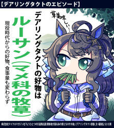  1girl ahoge animal_ears bag belt black_hair blue_eyes commentary_request daring_tact_(umamusume) eating gloves grass hair_between_eyes hair_ornament horse_ears horse_girl long_hair sakazaki_freddy sky solo star_(symbol) star_hair_ornament translation_request umamusume 