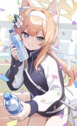  1girl animal_ear_fluff animal_ears bag black_jacket blue_archive bottle confetti flower gym_shirt gym_shorts gym_uniform hair_flower hair_ornament hair_ribbon hairband halo highres holding holding_bottle incoming_gift jacket long_hair long_sleeves looking_at_viewer mari_(blue_archive) momoyama_momo multicolored_jacket official_alternate_costume orange_hair plastic_bottle ponytail ribbon running_track school_emblem school_uniform shirt shorts shoulder_bag sleeves_past_wrists smile solo standing teeth thighs track_and_field track_jacket two-tone_jacket water white_hairband white_jacket white_ribbon yellow_halo zipper zipper_pull_tab 