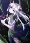  absurdres bamboo bamboo_forest enhance_heart ex-keine forest hat highres holding holding_hat horns kamishirasawa_keine long_hair looking_up nature night red_eyes rokuwata_tomoe silver_hair smile solo touhou 