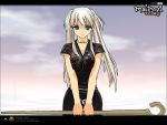  china_dress chinese_clothes long_hair mabinogi nao silver_hair staff twintails wallpaper 