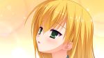  blonde_hair close game_cg green_eyes kanemoto_akari kobuichi noble_works 