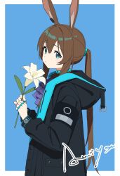  1girl agrafl amiya_(arknights) animal_ears aqua_eyes arknights ascot black_jacket blue_background border brown_hair character_name closed_mouth flower hair_between_eyes hair_tie highres holding holding_flower hood hood_down hooded_jacket jacket jewelry long_hair long_sleeves looking_at_viewer multiple_rings oekaki outside_border ponytail purple_ascot ring solo white_border white_flower 