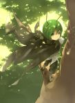  antennae cape fred04142 green_eyes green_hair in_tree looking_back reverse_trap short_hair solo touhou tree wriggle_nightbug 