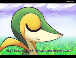  ah_i_see_you&#039;re_a_man_of_culture_as_well_(meme) arakawa_under_the_bridge closed_eyes closed_mouth clouds commentary english_commentary english_text field letterboxed meme outdoors pokemon pokemon_(creature) signature smile snivy subtitled woofzilla 