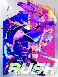  1boy 1girl blaze_the_cat blue_fur fire from_side fur-trimmed_gloves fur-trimmed_shoes fur_trim furry furry_female furry_male gloves green_eyes highres kuroiyuki96 pink_shoes ponytail purple_fur shoes sonic_(series) sonic_rush sonic_the_hedgehog white_gloves yellow_eyes 