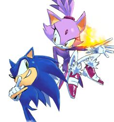  1boy 1girl animal_ears blaze_the_cat blue_fur cat_ears cat_girl crossed_arms fire forehead_jewel furry furry_female furry_male gloves green_eyes pink_shoes purple_fur shoes simple_background smirk sonic_(series) sonic_rush sonic_the_hedgehog supsross white_background white_gloves yellow_eyes 