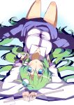  aqua_eyes detached_sleeves exion_(neon) frog gohei green_hair hair_ornament kochiya_sanae long_hair lying snake solo touhou upside-down 