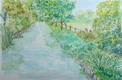  bush canal colored_pencil_(medium) fence fence_post fern harusa1107 highres no_humans original park scenery traditional_media tree water wooden_fence 