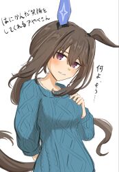  1girl admire_vega_(casual)_(umamusume) admire_vega_(umamusume) animal_ears blue_sweater blush breasts brown_hair casual disfiro03 ear_covers hair_between_eyes highres horse_ears horse_girl horse_tail jewelry long_hair long_sleeves looking_at_viewer low_ponytail medium_breasts necklace parted_lips ponytail simple_background single_ear_cover smile solo sweater tail umamusume upper_body violet_eyes white_background 