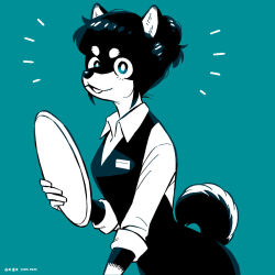  1girl black_fur black_hair black_vest blue_background blue_eyes body_fur cowboy_shot dog_girl furry furry_female hair_bun highres holding holding_tray looking_at_viewer original shiba_inu shirai_keita shirt short_hair simple_background solo tail tray vest 