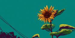  artdroiiid_ii commentary day english_commentary film_grain flower flower_focus green_sky highres leaf ligne_claire no_humans original outdoors power_lines scenery sky sunflower yellow_flower 