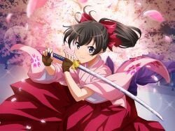  1girl black_hair blue_eyes brown_gloves cherry_blossoms closed_mouth cosplay fingerless_gloves game_cg gloves hakama hakama_skirt holding holding_sword holding_weapon japanese_clothes kagura_hikari katana kimono long_hair looking_at_viewer official_art pink_kimono ponytail red_hakama sakura_taisen shinguuji_sakura shinguuji_sakura_(cosplay) shoujo_kageki_revue_starlight shoujo_kageki_revue_starlight_-re_live- skirt smile solo stage_lights sword v-shaped_eyebrows weapon 