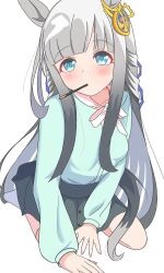 1girl absurdres animal_ears blue_eyes blunt_bangs blush breasts casual chrono_genesis_(umamusume) collarbone commentary_request food food_in_mouth full_body grey_hair hair_between_eyes hair_ornament hard7v2 highres horse_ears horse_girl horse_tail kneeling long_hair looking_at_viewer pocky pocky_in_mouth pov simple_background small_breasts solo tail umamusume white_background 