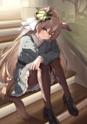  1girl absurdres animal_ears brown_hair brown_pantyhose closed_mouth commentary_request ear_ribbon green_ribbon green_shirt green_skirt highres horse_ears horse_girl horse_tail long_hair long_sleeves looking_at_viewer pantyhose ribbon satono_diamond_(umamusume) shirt sitting sitting_on_stairs skirt solo stairs sunny_(20597521) tail umamusume 