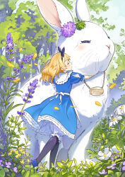  1girl alice's_adventures_in_wonderland animal apron black_bow blonde_hair bloomers blue_dress blue_shoes bow closed_eyes dress frilled_dress frills from_behind hair_bow highres hug medium_hair open_mouth original oversized_animal rabbit shoes wakuseiy white_apron white_bloomers white_fur 