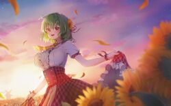  1girl :d ascot blurry blurry_foreground breasts center_frills clouds commentary_request cowboy_shot falling_petals field flower flower_field frilled_wrist_cuffs frills green_hair hair_between_eyes hair_flower hair_ornament hair_ribbon high-waist_skirt highres kazami_yuuka large_breasts looking_at_viewer open_mouth outdoors petals plaid_clothes plaid_skirt purple_ribbon red_eyes red_skirt ribbon shironeko_yuuki shirt short_hair short_sleeves skirt skirt_hold smile solo standing star_(sky) sunflower sunflower_field sunset touhou white_shirt windmill wrist_cuffs yellow_ascot yellow_flower yellow_petals 