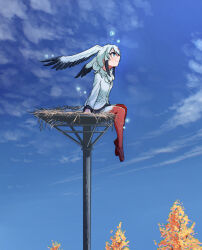  1girl absurdres bird_girl bird_nest bird_tail bird_wings black_hair black_skirt blue_eyes blue_sky blush brown_shoes coat hair_between_eyes hair_bun head_wings highres kemono_friends loafers long_sleeves mcgunngu multicolored_hair oriental_stork_(kemono_friends) pantyhose pleated_skirt red_pantyhose scarf shoes short_hair sidelocks sitting skirt sky smile solo sparkle tail two-tone_hair two-tone_pantyhose white_coat white_hair white_pantyhose white_scarf wings 