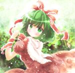  green_eyes green_hair kagiyama_hina solo touhou yuya_(minus-k) yuya_(pixiv) 