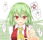  anger_vein angry ascot blush efe embarrassed face green_hair kazami_yuuka open_mouth plaid plaid_vest red_eyes short_hair solo tartan tears touhou translated tsundere youkai 