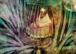  bamboo bamboo_forest birdcage cage forest full_moon highres houraisan_kaguya japanese_clothes moon nature organ_derwald sitting solo touhou 