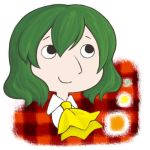  ascot checkered checkered_background daico green_hair kazami_yuuka looking_up lowres plaid plaid_background portrait short_hair smile solo touhou youkai 