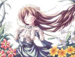  dekosuke flower rozen_maiden suiseiseki tagme 