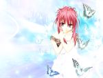 butterfly chikage sister_princess tagme tenhiro_naoto 