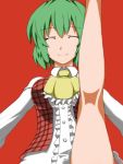  ascot breasts closed_eyes eyes_closed green_hair impossible_clothes impossible_clothing impossible_shirt impossible_vest kazami_yuuka kneepits leg_up plaid plaid_vest red_background shirt short_hair smile solo tartan thighs touhou u.s.m.c youkai 