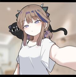  1girl airi_kanna animal animal_on_shoulder antlers black_cat blue_eyes blurry blurry_background blush breasts bright_pupils brown_hair cat closed_mouth dot_mouth dragon_girl dragon_horns forehead_tattoo foreshortening horns korean_commentary long_sidelocks looking_at_viewer medium_breasts medium_hair multicolored_hair narrowed_eyes pet seongda shirt sidelocks small_horns stellive streaked_hair tattoo virtual_youtuber white_shirt 