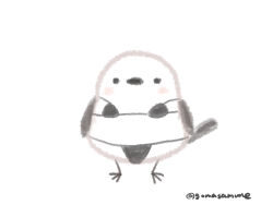  animal animal_focus bikini bird black_bikini blush_stickers clothed_animal full_body goma_(gomasamune) highres looking_at_viewer no_humans original simple_background swimsuit twitter_username white_background 