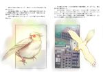  city cockatiel comic era_(traveling_bird) fishball flying no_humans original parrot translated translation_request 