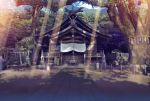  copyright_request donation_box komainu no_humans onomichi_(city) photorealistic real_world_location scenery shade shimenawa shrine sunbeam sunlight teirumon temple torii tree 
