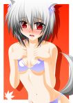  1girl animal_ears bikini blush engo_(aquawatery) fang highres inubashiri_momiji navel red_eyes short_hair silver_hair solo swimsuit tail touhou wolf_ears wolf_tail 