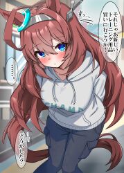  1girl absurdres animal_ears black_pants blue_eyes blush breasts brown_hair closed_mouth commentary_request hair_between_eyes hairband highres hood hoodie horse_ears horse_girl horse_tail large_breasts leaning_forward long_hair looking_at_viewer metal_hairband mihono_bourbon_(umamusume) pants shikimiya_life solo tail umamusume white_hoodie 