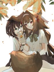  2girls 832cy absurdres alternate_costume animal_ear_fluff animal_ears belle_(zenless_zone_zero) blue_hair blurry blurry_foreground blush bow bowtie bracelet brown_hair brown_tail cellphone_charm charm_(object) closed_mouth clover clover_hair_ornament commentary_request crossed_bangs droopy_ears falling_leaves fluffy_tail green_bow green_bowtie green_eyes hair_between_eyes hair_ornament hairband hand_on_own_tail highres holding holding_phone jewelry leaf long_hair looking_at_another looking_at_phone multicolored_hairband multiple_girls open_mouth phone red_hairband school_uniform shirt short_hair very_long_hair white_background white_hairband white_shirt ye_shunguang yuri zenless_zone_zero 