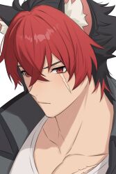  1boy animal_ear_piercing animal_ears black_hair black_jacket collarbone dog_boy dog_ears jacket komano_manato male_focus mignoui multicolored_hair muscular muscular_male red_eyes red_hair scar scar_on_chest scar_on_face shirt white_shirt zenless_zone_zero 