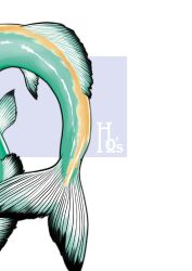  artist_logo artist_name back_cover blue_background cover fins highres kajiyama_hiroshi kneeless_mermaid logo mermaid monster_girl original two-tone_background white_background 