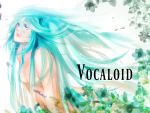  aqua_hair blue_eyes flower hatsune_miku open_mouth tears very_long_hair vocaloid 