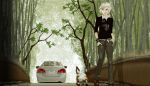  car tagme tree vehicle white_hair 
