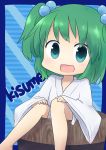  absurdres blue_eyes bucket chibi child girl_in_bucket green_hair hair_bobbles hair_ornament highres in_bucket in_container kisume short_hair solo touhou twintails yamabuki_(yusuraume) 