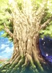 landscape ryouku sky summon_night tree 