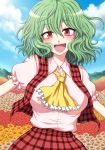  :d ascot blouse blush breasts flower flower_field green_hair happy kazami_yuuka looking_at_viewer messy_hair mokku open_mouth outstretched_arms plaid plaid_skirt plaid_vest red_eyes short_hair skirt skirt_set smile solo spread_arms touhou wavy_hair youkai 