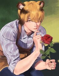  1boy animal_ears blanc_(heartopia) blonde_hair brown_hair colored_eyebrows flower hair_over_eyes heartopia highres konbuchansan male_focus multicolored_hair overalls rose solo tiger_boy tiger_ears two-tone_hair 