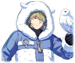  1boy bird bird_on_hand black_gloves closed_mouth coat eyepatch fur_trim game_cg gloves green_eyes green_hair hair_over_one_eye happy_elements headset helios_rising_heroes hood hood_up hooded_jacket jacket keith_max long_sleeves looking_at_viewer male_focus non-web_source official_alternate_costume official_art one_eye_covered short_hair solo sweater transparent_background turtleneck turtleneck_sweater upper_body winter_clothes 